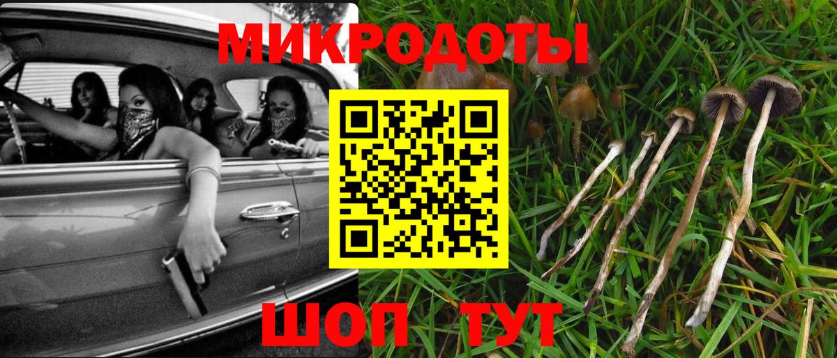 закладка  Вход с VPN  Галлюциногенные грибы GOLDEN TEACHER  Гусиноозёрск  Галлюциногенные грибы Psilocybe 