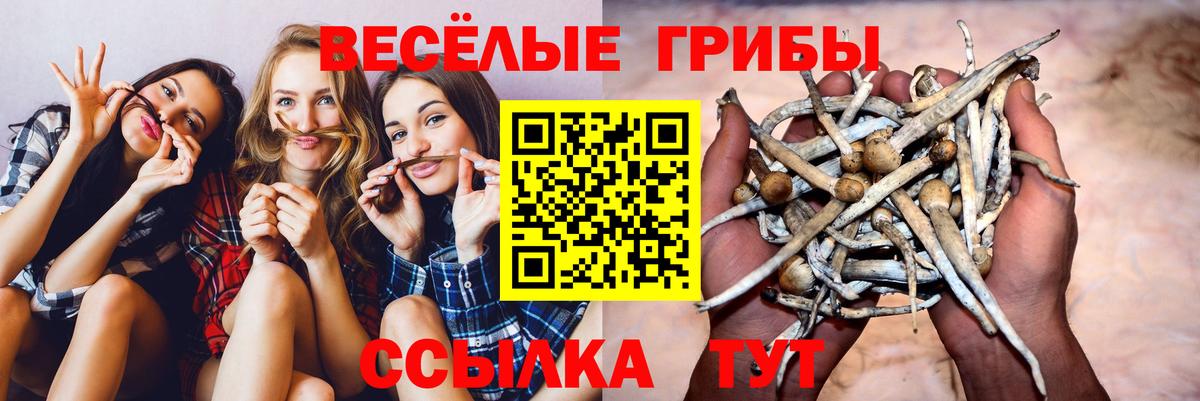 Галлюциногенные грибы мицелий Гусиноозёрск